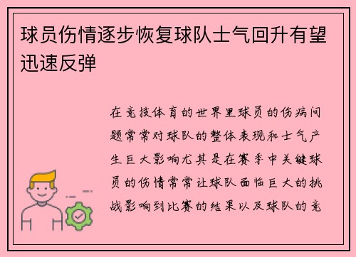 球员伤情逐步恢复球队士气回升有望迅速反弹